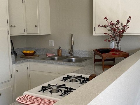 a kitchen with a stove and a sink